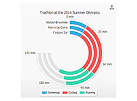 Nested circular gantt chart with a custom legend.