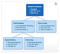 Organization chart with UL LI list tags.